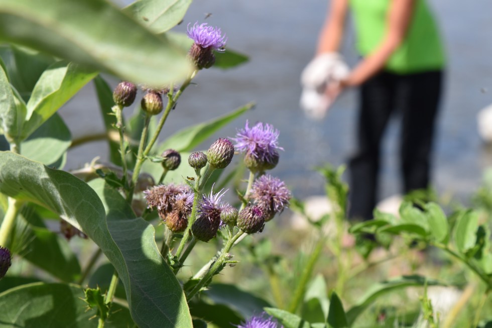 Alcova Reservoir WY (Casper)_0436-2