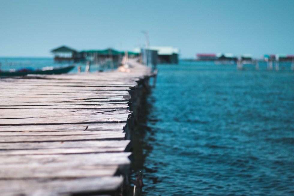 Starfish beach thailand