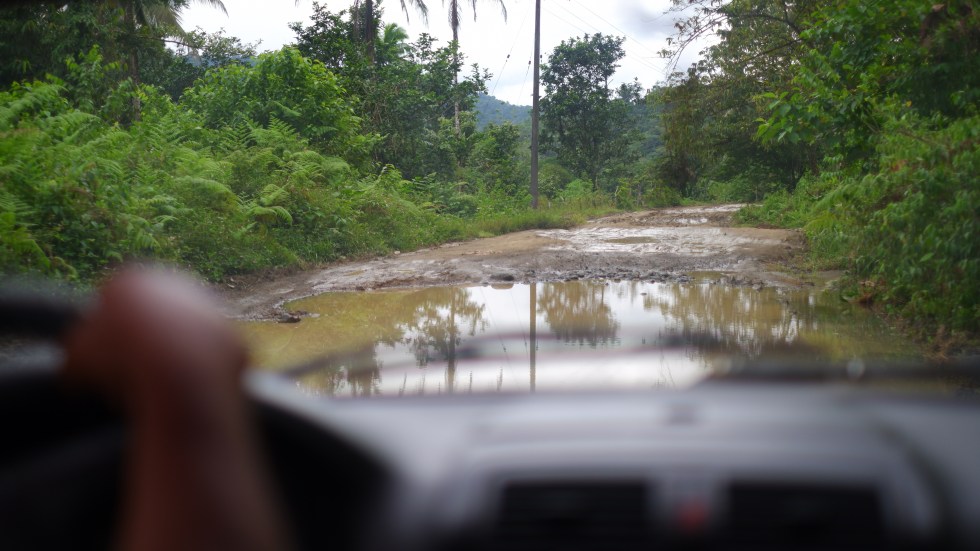 turtle release colombia