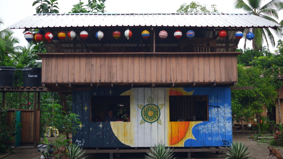 turtle release colombia