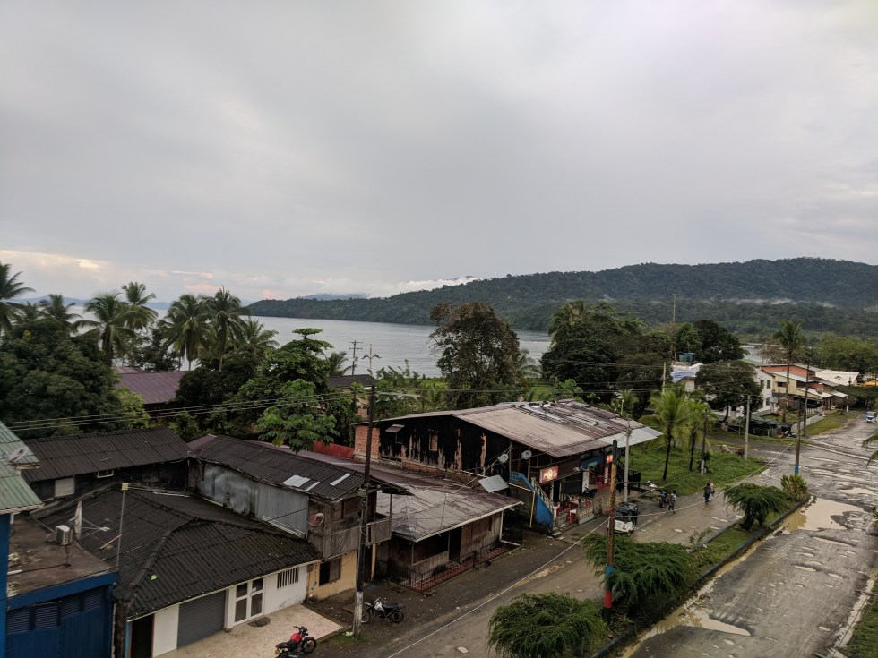 turtle release colombia